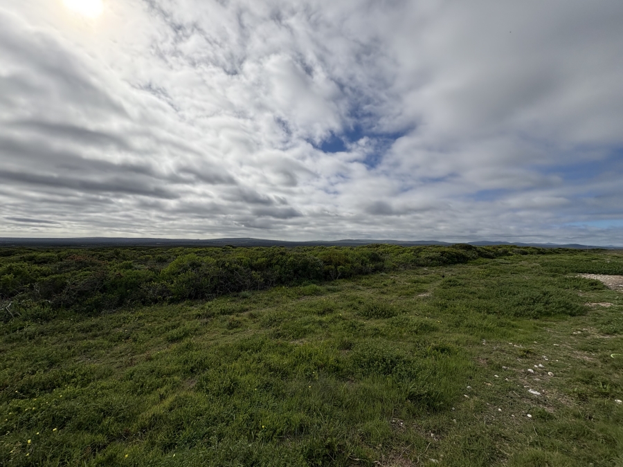 To Let 4 Bedroom Property for Rent in Yzerfontein Western Cape